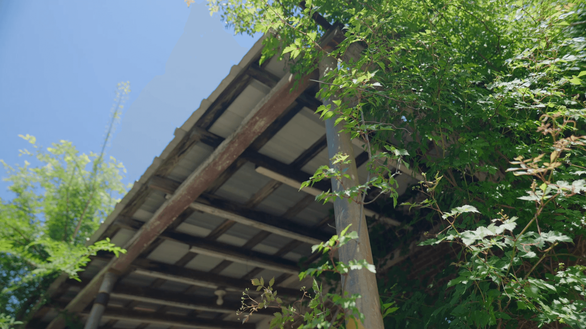 Roofing Poles