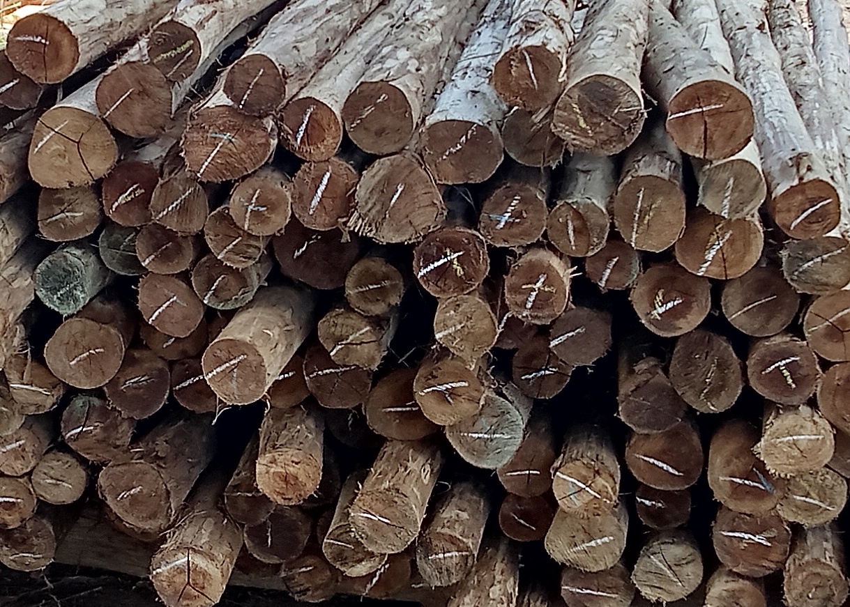 Fortiwood Solutions Product Images